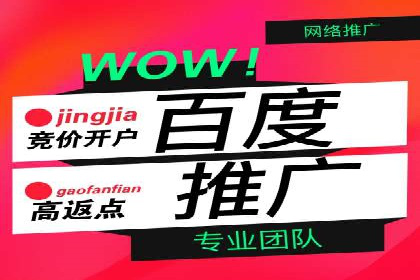 行业揭秘：百度竞价广告的优化技巧与案例